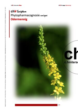 chWScriptumPPGUnique- Odermennig
