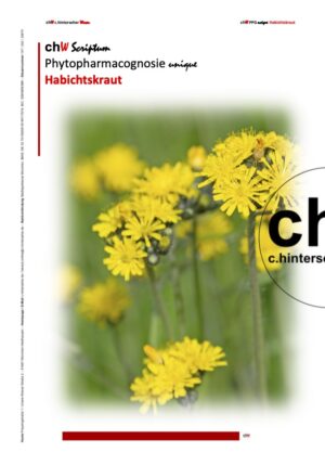 chWScriptumPPGunique- Habichtskraut