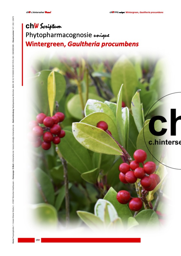 chWScriptumPPGUnique16Gaultheria2022-LP