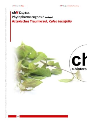 chW SE PPG unique: Aztekisches Traumkraut, Calea ternifolia