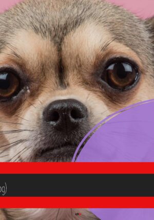 chW meine beste Zeit: meine Hündin (mein Blog) - Folge 6