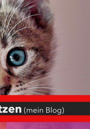 chW meine beste Zeit: meine Katzen (mein Blog) - Folge 19