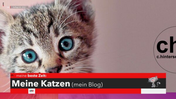 chW meine beste Zeit: meine Katzen (mein Blog) - Folge 14 (Kopie)