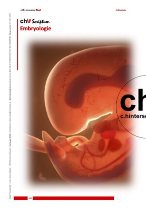 chW Embryologie