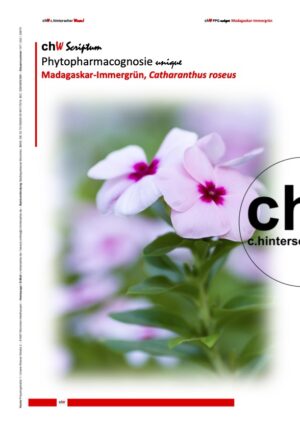 chW SE PPG unique: Madagaskar-Immergrün, Catharanthus roseus