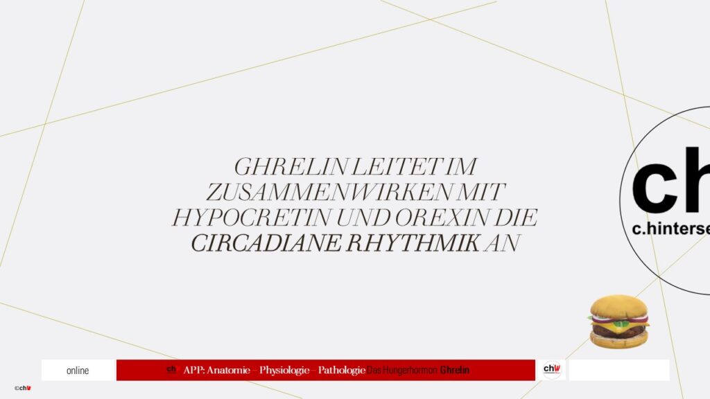 Präsentationsbild cirdadiane Rhythmik