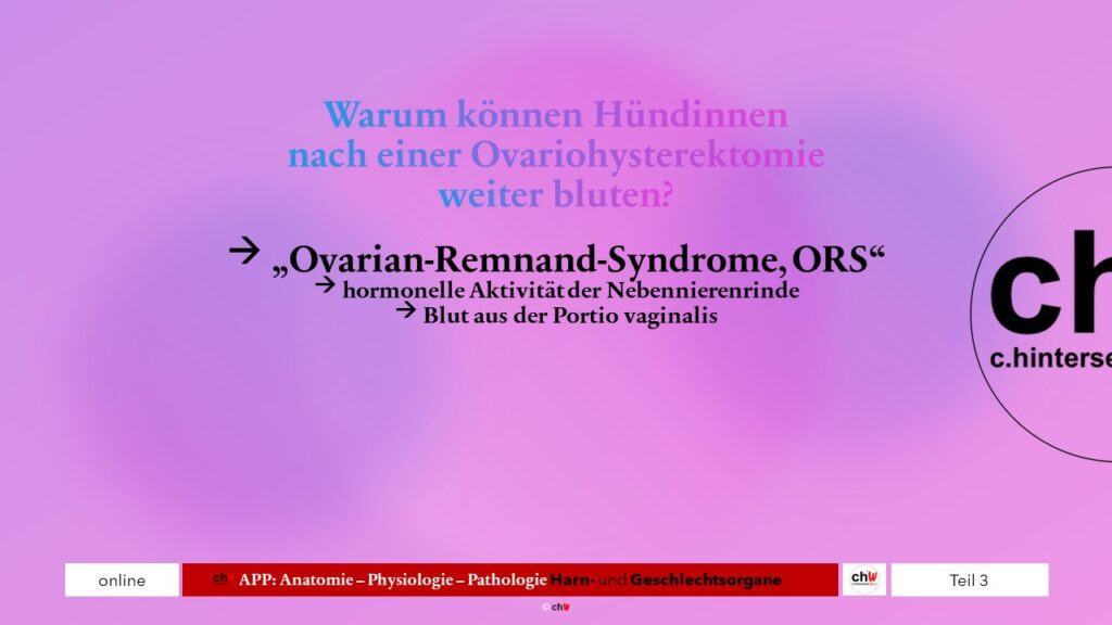 Ovarian-Remnand-Syndrome