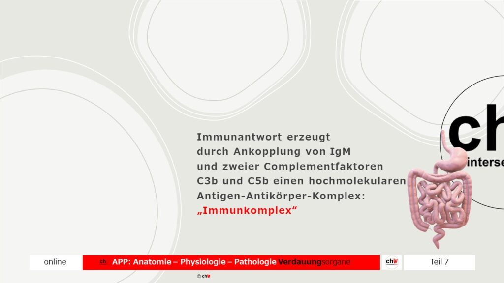 Schematische Darstellung Imunkomplex