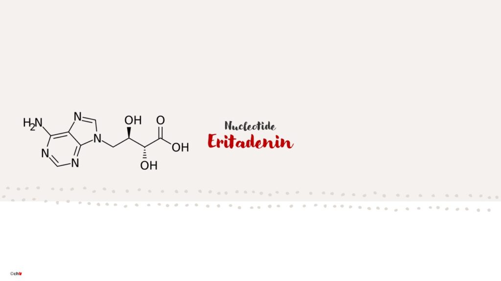 Darstellung chemisches Element Nucleotide Eritadenin