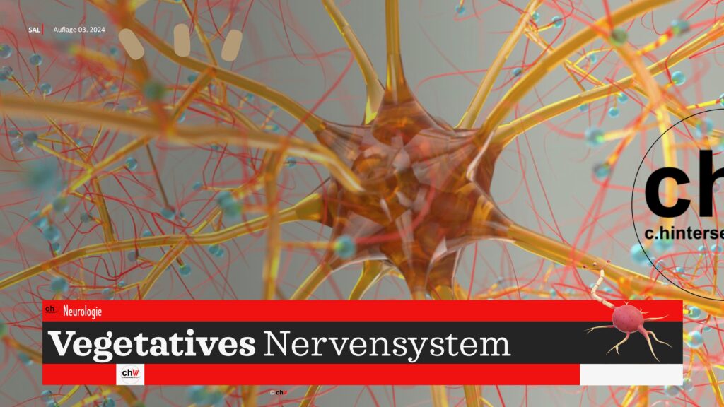 Titelbild chW Neurologie Vegetatives Nervensystem