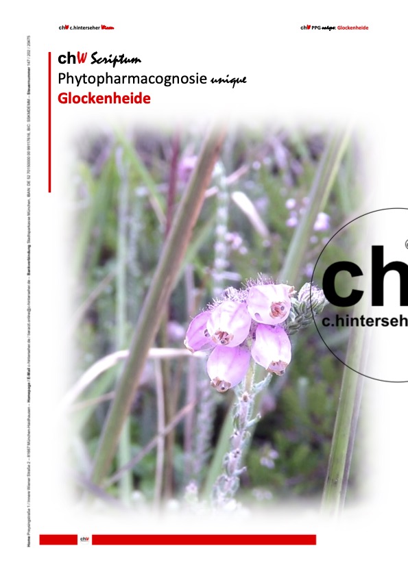 85-Glockenheide-2023