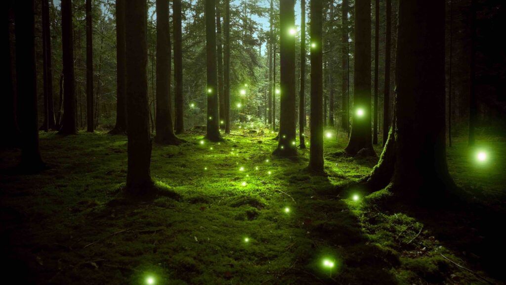 Dreamy glowy fireflies in mossy woodland.