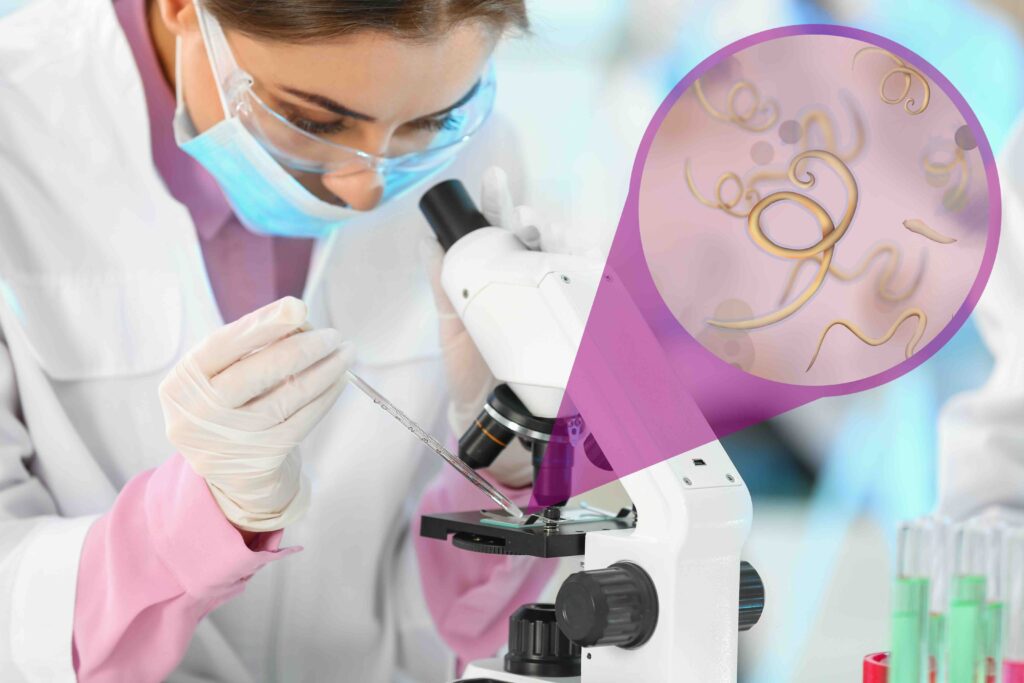 Laboratory worker using modern microscope to examine helminths indoors. Zoomed view on parasitic worms