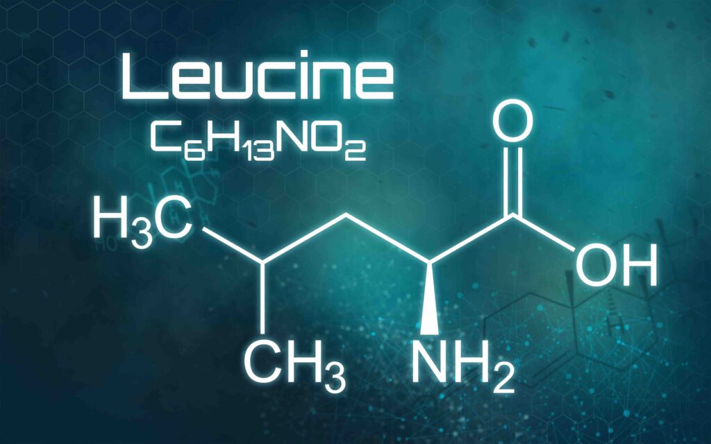 Chemical formula of Leucine on a futuristic background