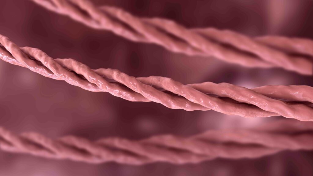 Collagen triple helix molecules, 3D illustration showing a collagen molecule, the main component of connective tissue, also used as skin and hair care cosmetics