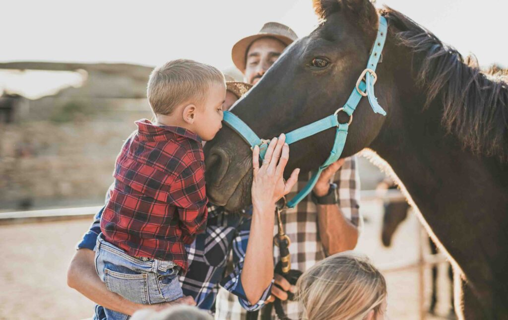 Family enjoy day at horse ranch - Little boy kiss a horse - Parents, children and animal love