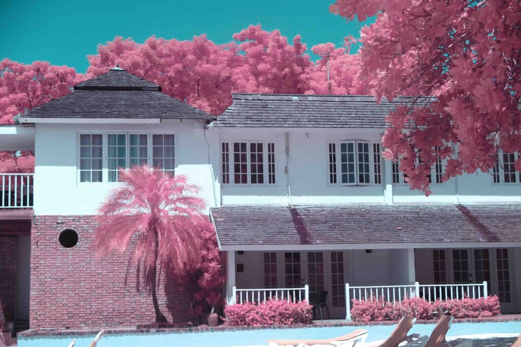 InfraRed Light using Converted Camera - Pink Trees Aerochrome Filter
