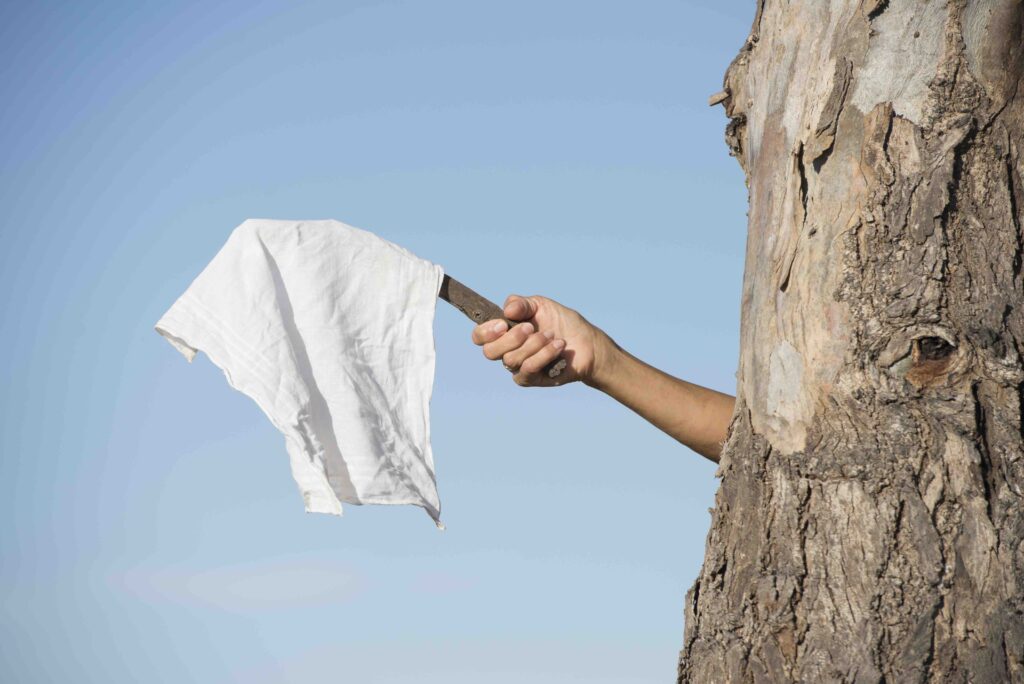 Arm and hand of person hiding behind tree holding white flag, cloth or handkerchief as sign for peace, resignation and negotiations, with blue sky as outdoor background and copy space.