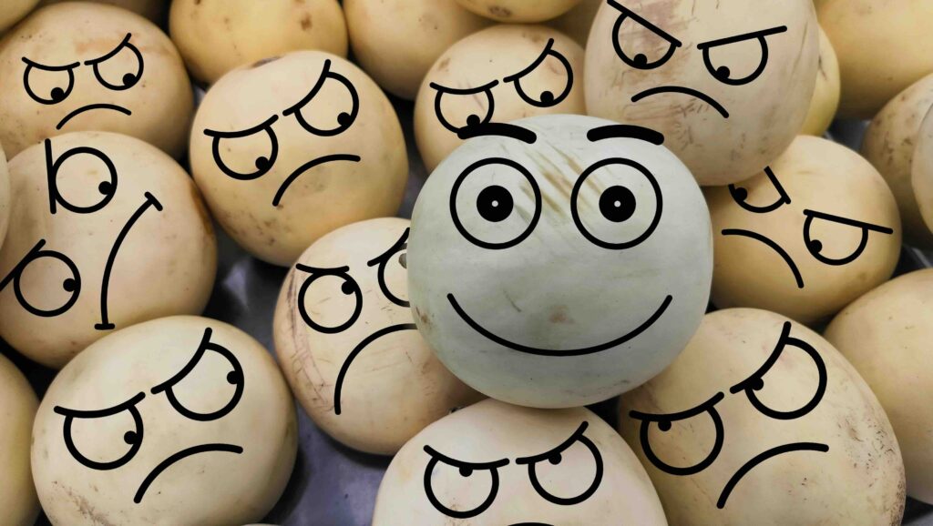 draw on the fruit with facial expressions of one happy and the other angry. negative environment. concept of anger and envy