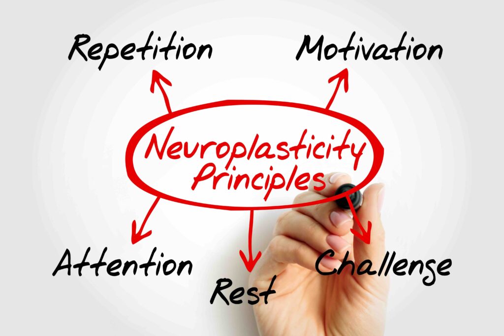 Mind map of Neuroplasticity Principles featuring key concepts such as Repetition, Motivation, Attention, Challenge, and Rest. Ideal for use in educational, medical, psychology