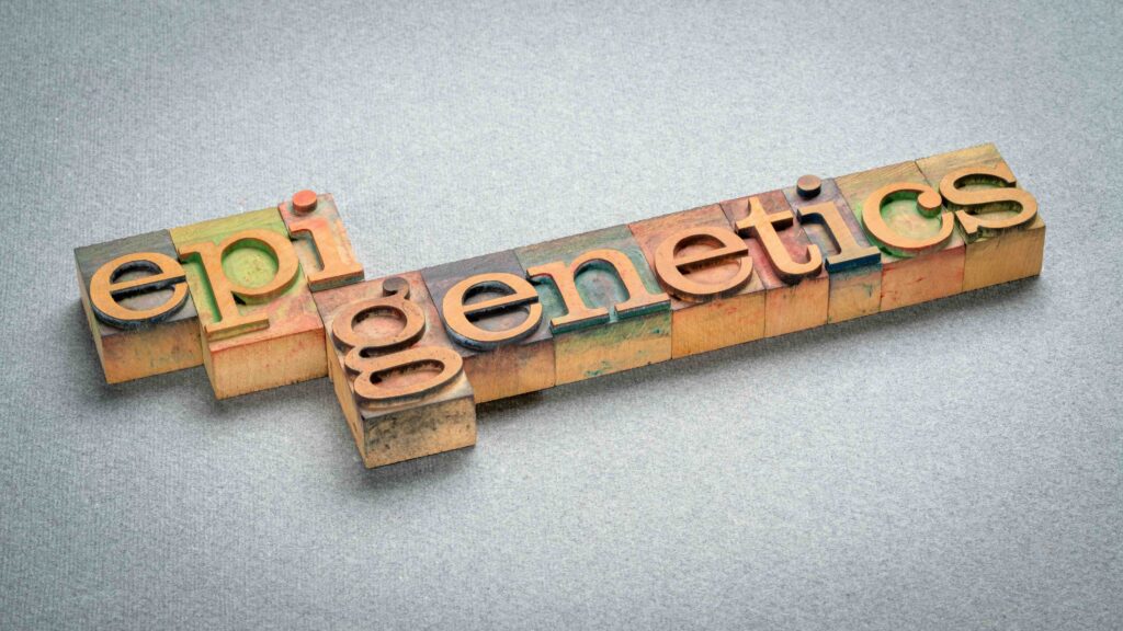 Epigenetics, study of heritable changes in gene expression or cellular phenotype caused by mechanisms other than changes in the underlying DNA sequence, word in letterpress wood type